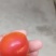 阳红一号杏！！！产地直采！！！纯甜！！！