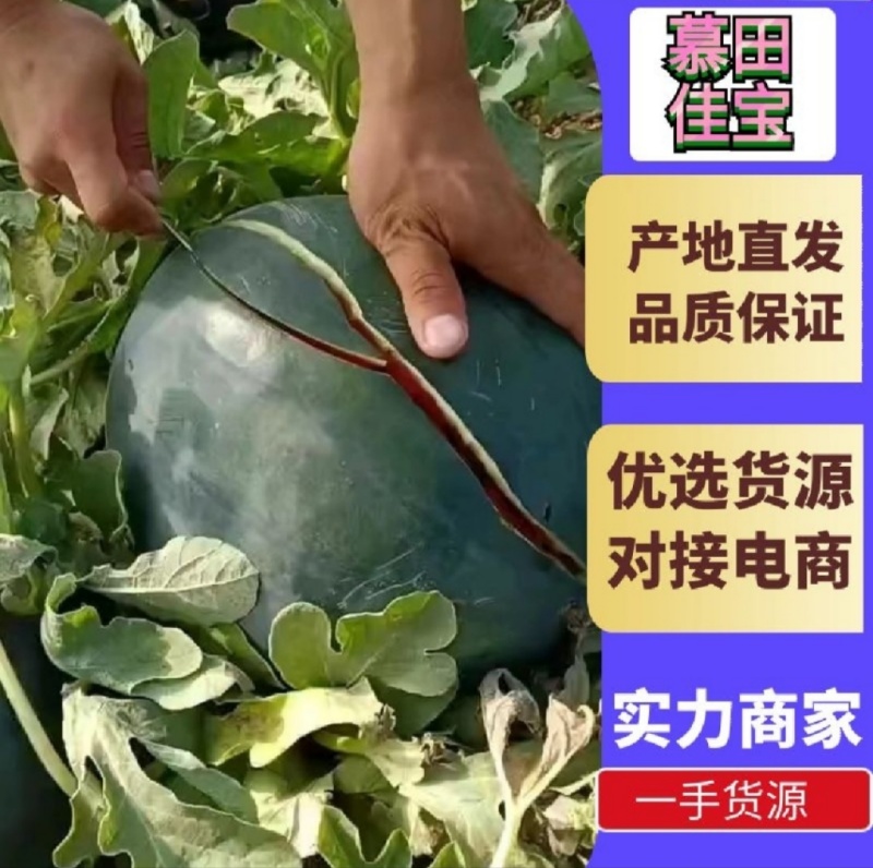 【幕田佳宝西瓜】陕西西瓜/产地直发/保质保量/全国代收代发