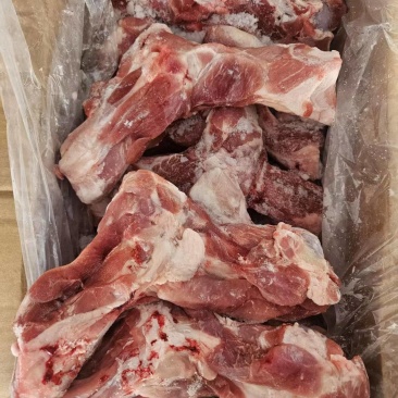 龙大多肉前腿骨