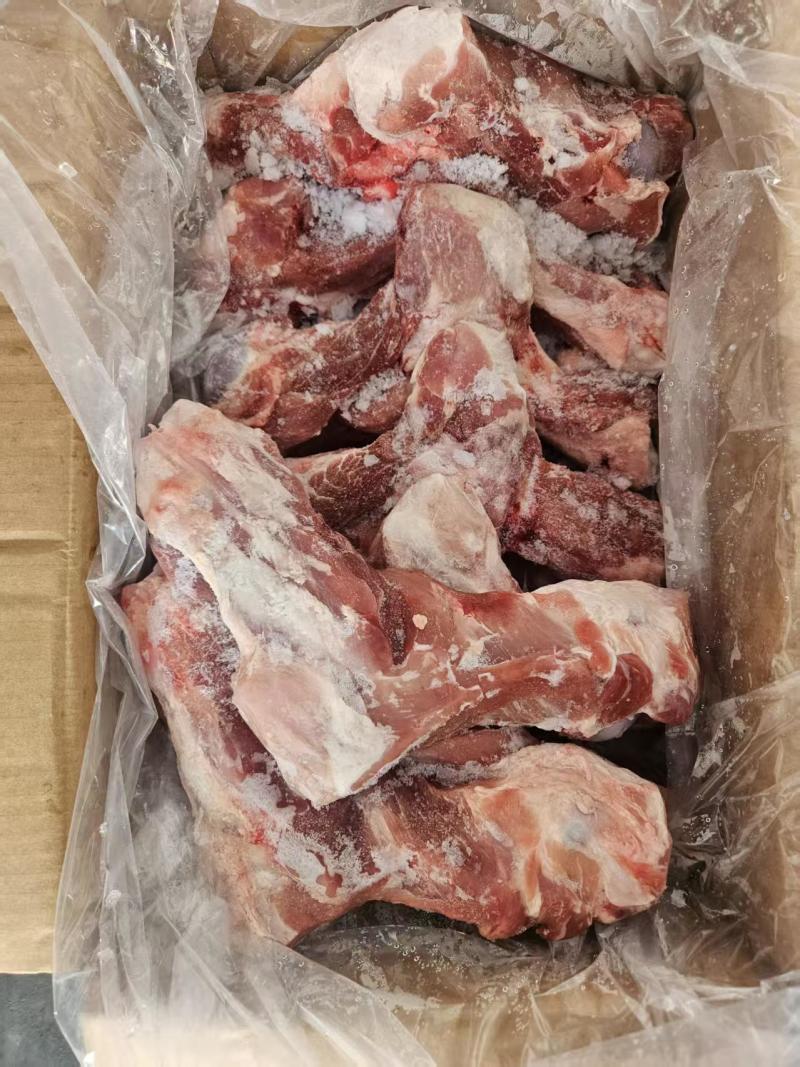 龙大多肉前腿骨