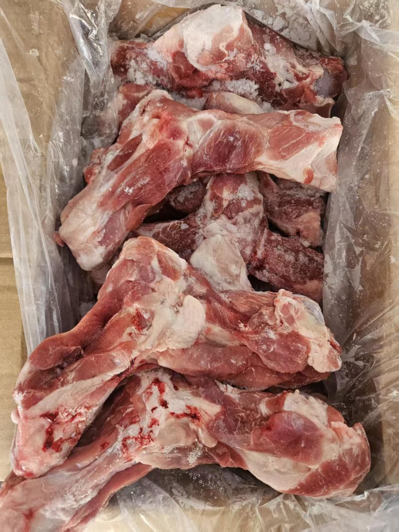 龙大多肉前腿骨