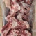 龙大多肉前腿骨