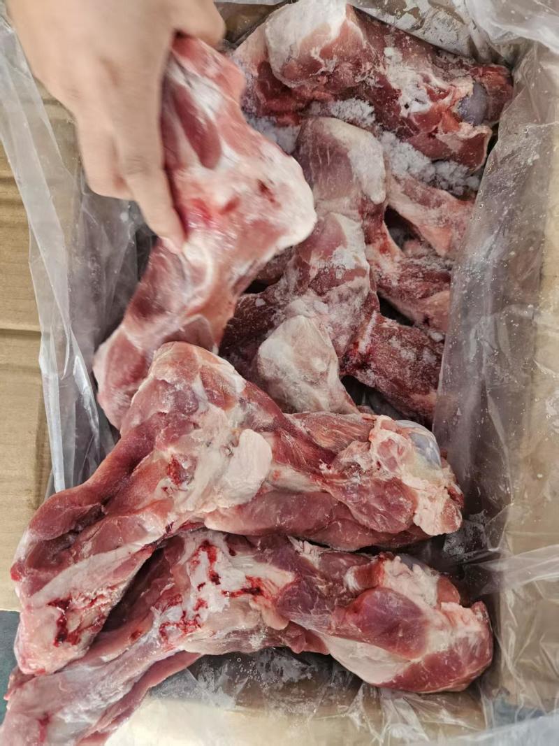 龙大多肉前腿骨