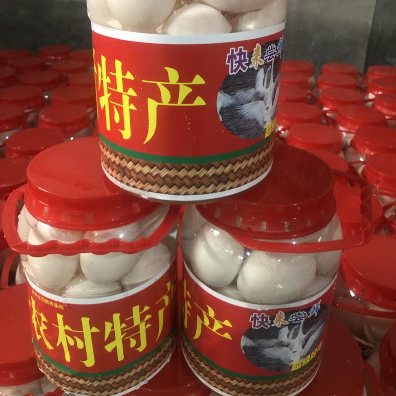 鹅蛋/桶装大鹅蛋/雁鹅蛋手续齐全随时看货