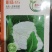 免盖松花菜烈日松60明珠65松花菜种子