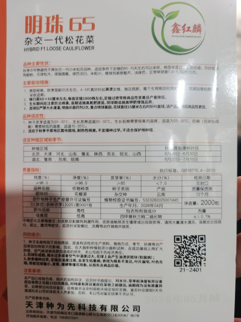 免盖松花菜烈日松60明珠65松花菜种子