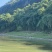 甜笋