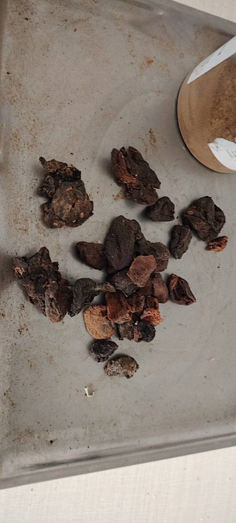 杏皮茶杏皮酸味甜味酸甜味***各种规格任选河北省蔚县