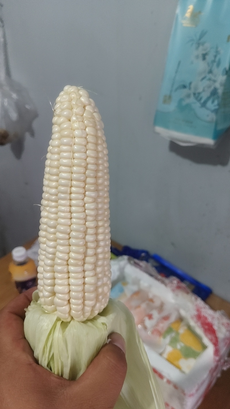 新鲜甜加糯白玉米