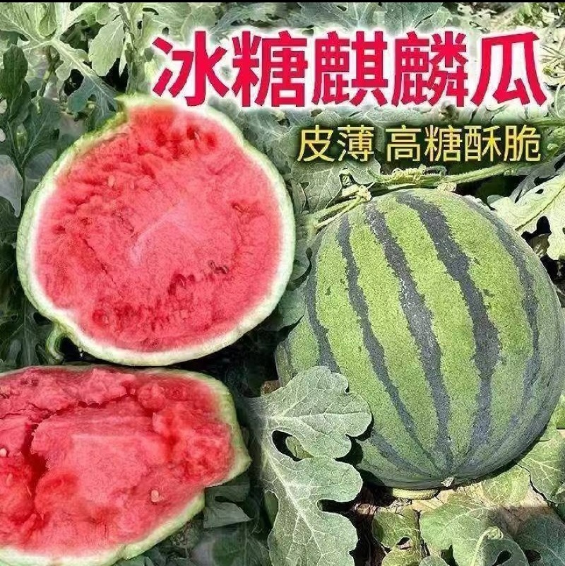 麒麟瓜大量上市云南产地直发品质保证欢迎进店选购