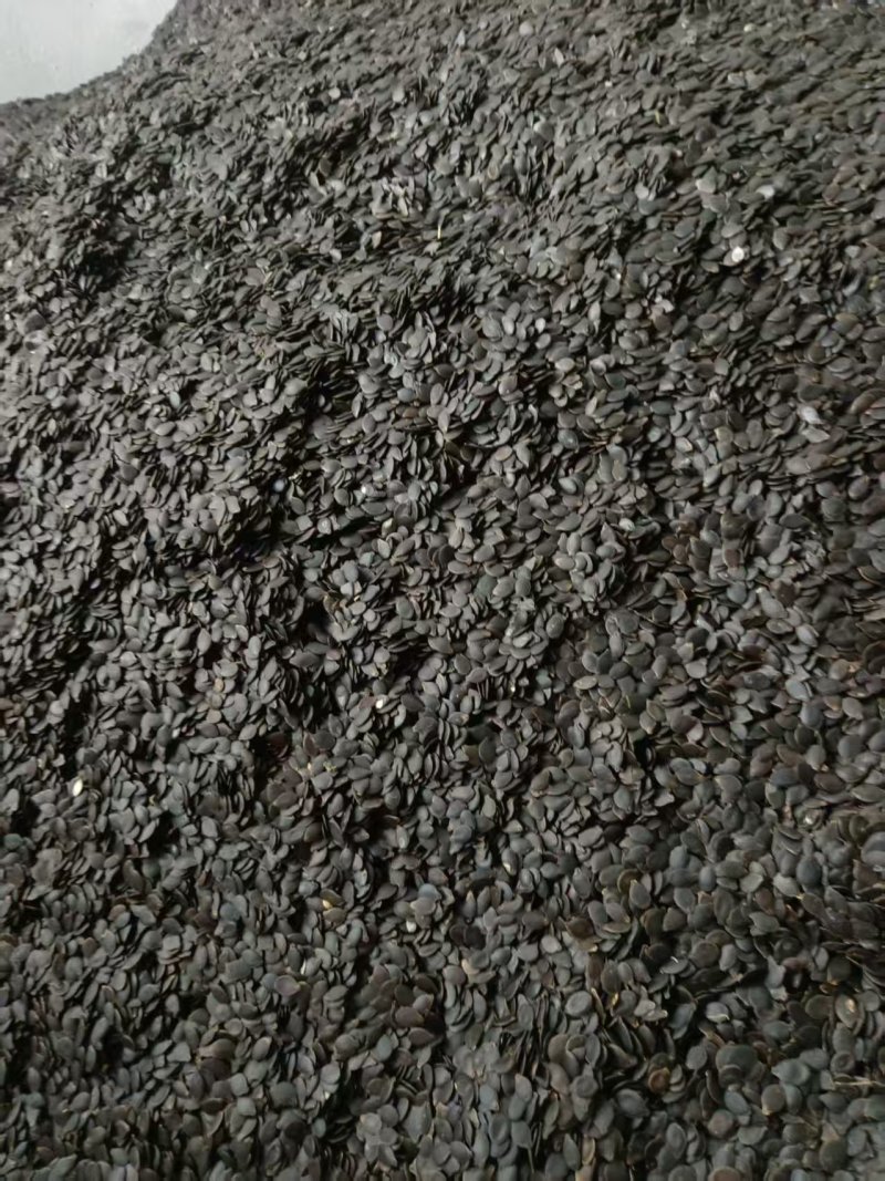 云南黑白瓜子，颗粒饱满可炒可加工比瓜子还香