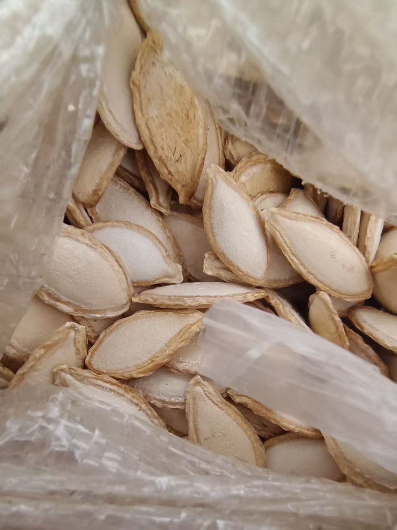 云南黑白瓜子，颗粒饱满可炒可加工比瓜子还香