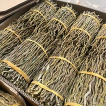 浙江铁皮石斛干条胶质好2斤起包邮量大从优