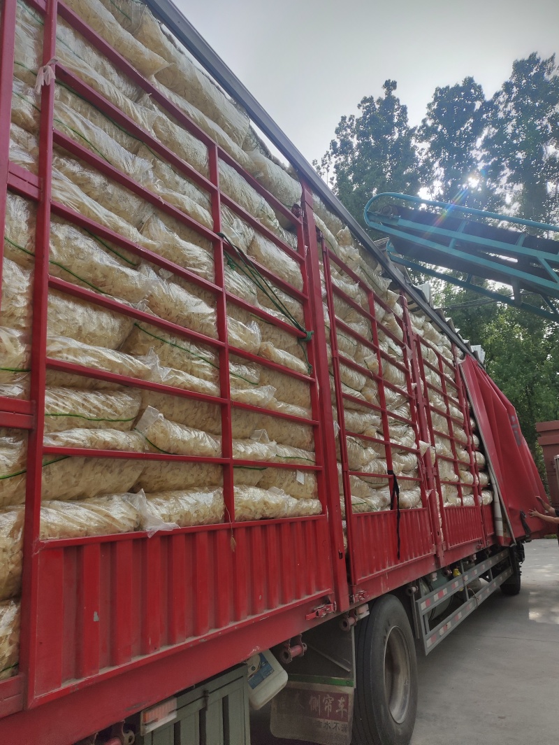 【凉皮】货量充足，价格美丽，欢迎老板咨询