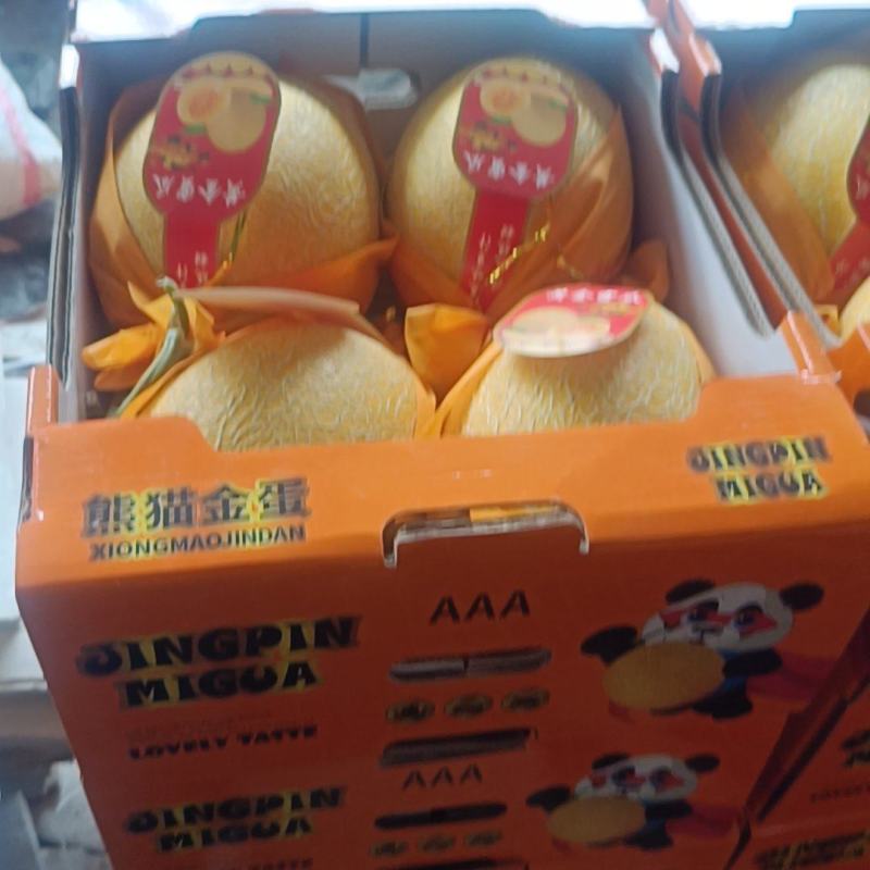 黄金密