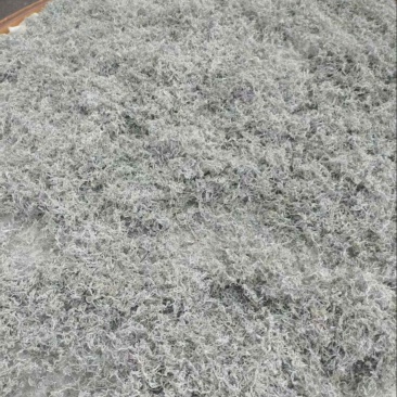 湖北恩施来凤藤茶规格齐全对接各大市场商超平台欢迎选购
