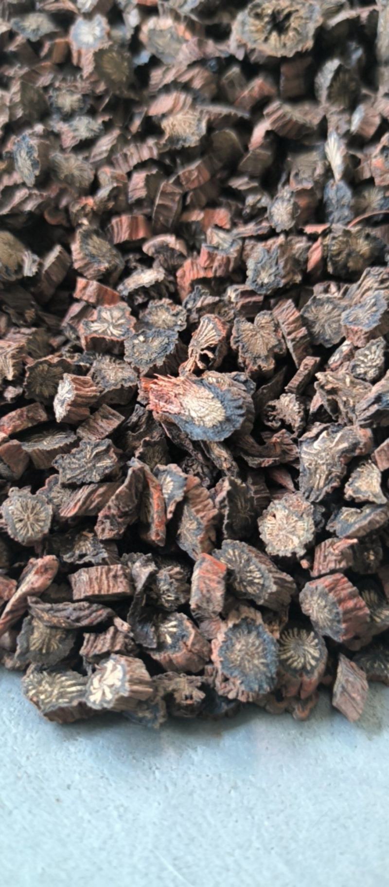 丹参精品红丹参选片春雨药材批发各种规格中药材质量保证量