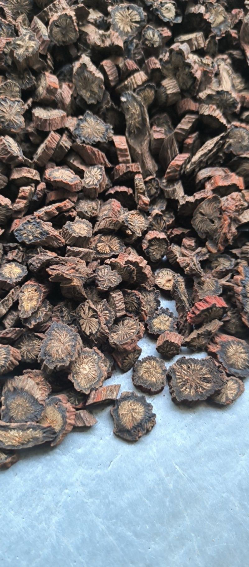 丹参精品红丹参选片春雨药材批发各种规格中药材质量保证量