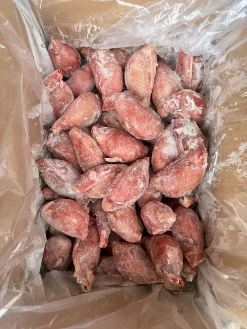 中号山羊羊宝