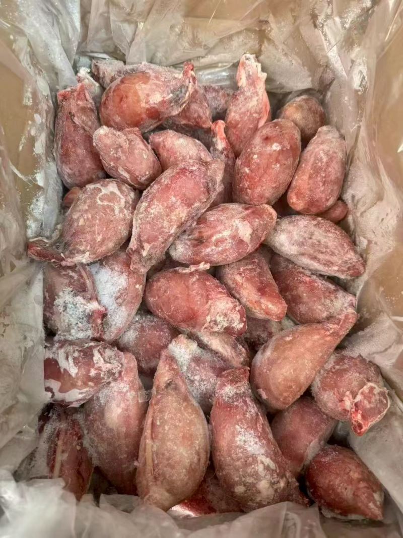 中号山羊羊宝