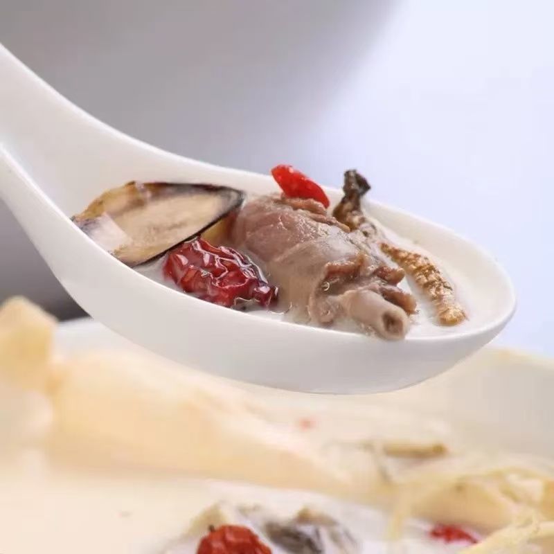 鸽子新鲜现杀老鸽子土鸽子新鲜鸽子孕妇炖汤生鲜鸽子现杀煲汤