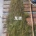 水生植物，沉水植物，种类多，货量大，欢迎视频看货问价