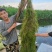 水生植物，沉水植物，种类多，货量大，欢迎视频看货问价