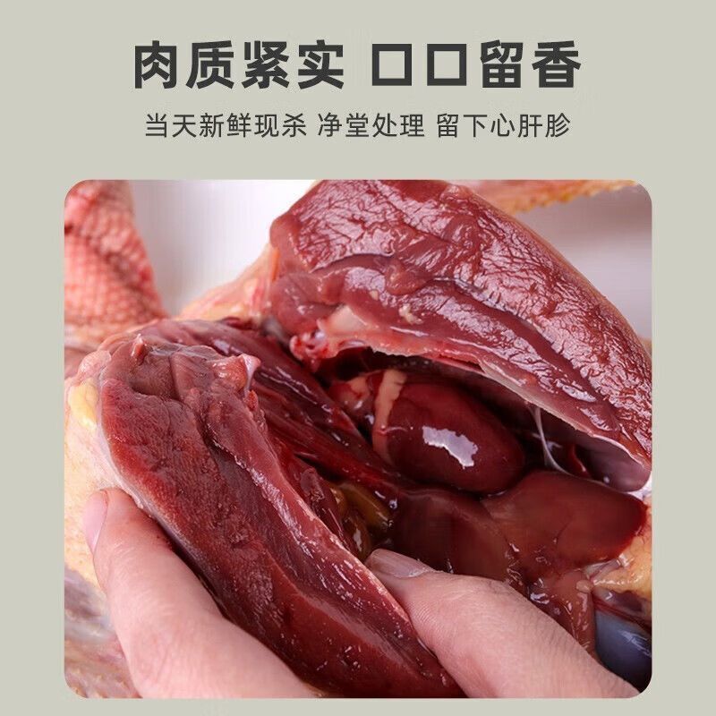 新鲜杂粮土鸽子烤乳鸽农家散养老鸽子现杀新鲜乳鸽滋补