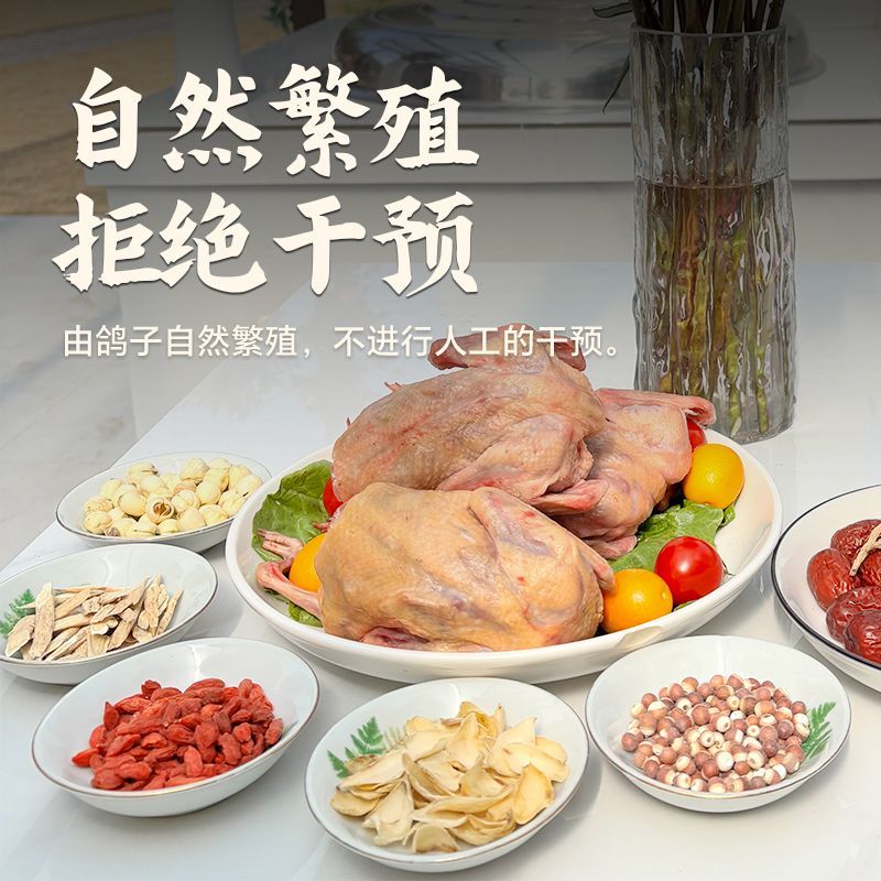 新鲜杂粮土鸽子烤乳鸽农家散养老鸽子现杀新鲜乳鸽滋补