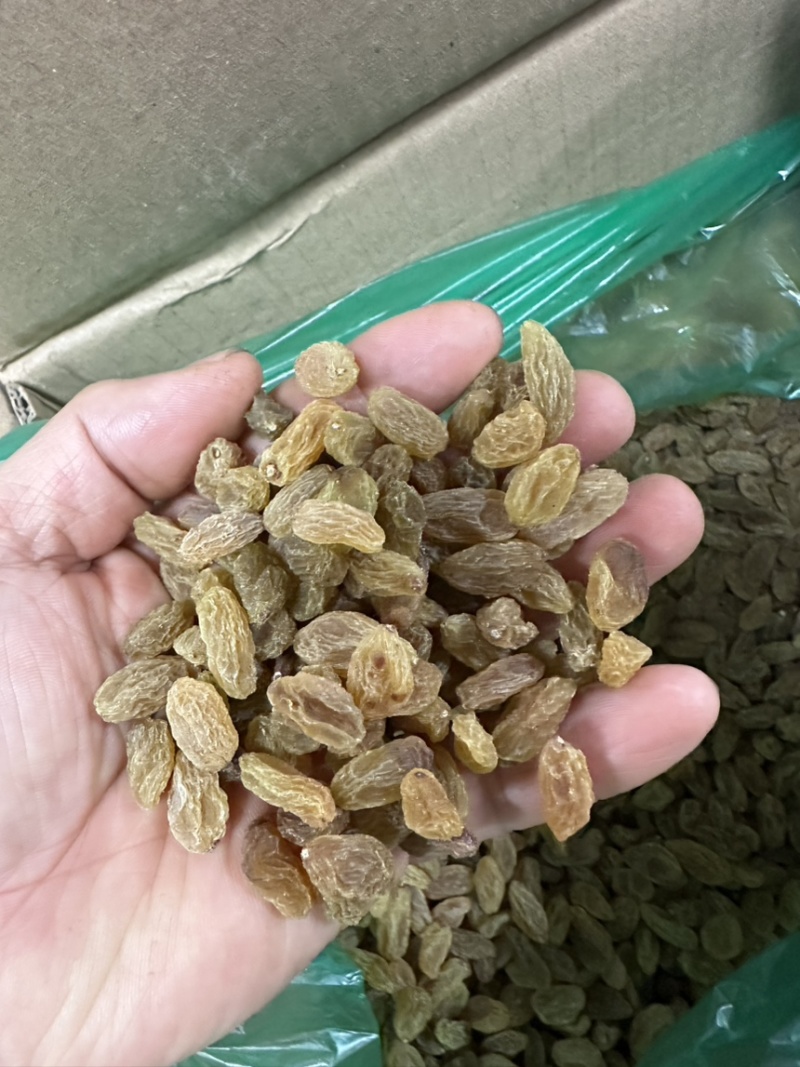 新疆葡萄干