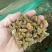新疆葡萄干