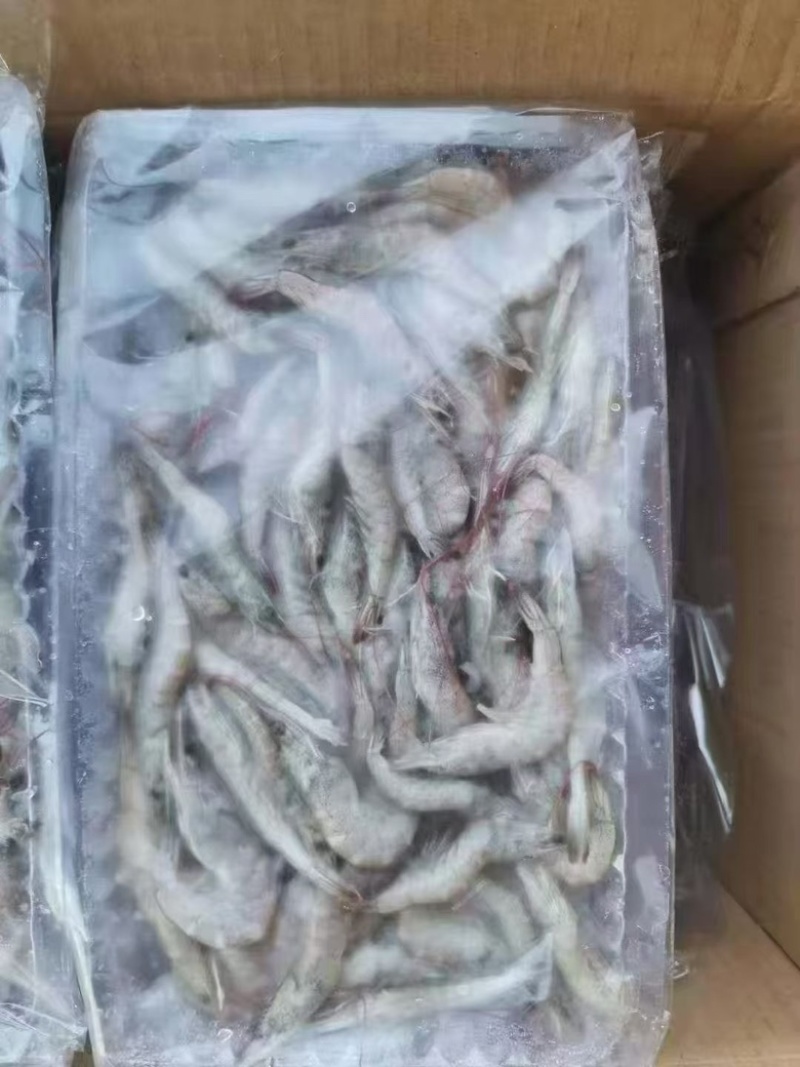小河虾，10板，15板