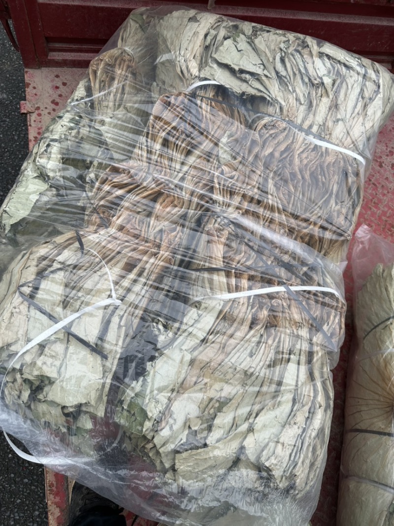 干荷叶整张