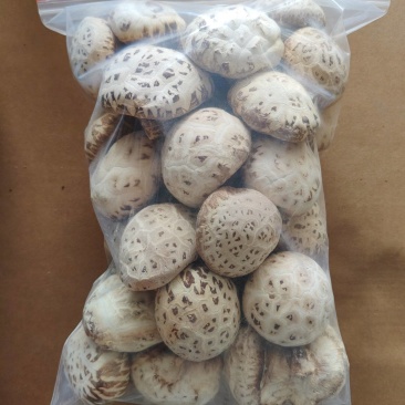 河南泌阳县带脚大花菇新货精选花菇产地直供