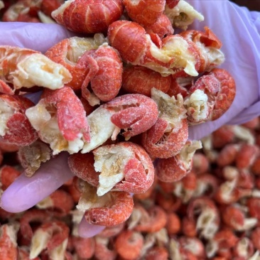 精品原料虾尾🦞工厂直销价格便宜