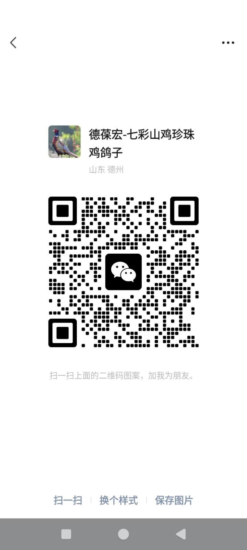 野鸡白条七彩山鸡