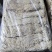 脱水蔬菜脱水萝卜条大量供应厂家直销支持零售批发