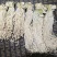 脱水蔬菜脱水萝卜条大量供应厂家直销支持零售批发