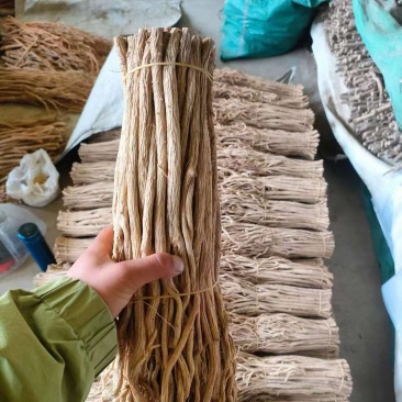 甘肃防风大量供应，一手货源，品质保证，量大从优甜口防风