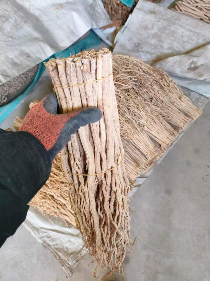 甘肃防风大量供应，一手货源，品质保证，量大从优甜口防风