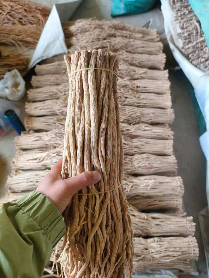 甘肃防风大量供应，一手货源，品质保证，量大从优甜口防风