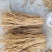 甘肃防风大量供应，一手货源，品质保证，量大从优甜口防风