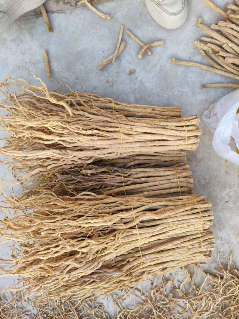 甘肃防风大量供应，一手货源，品质保证，量大从优甜口防风