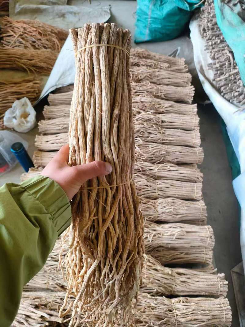 甘肃防风大量供应，一手货源，品质保证，量大从优甜口防风