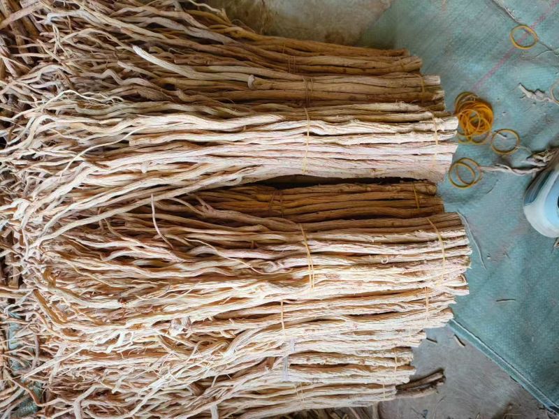 甘肃防风大量供应，一手货源，品质保证，量大从优甜口防风