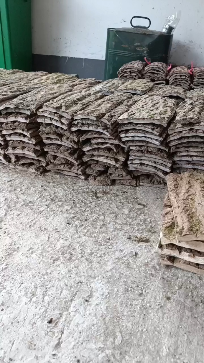 野生杜仲，杜仲皮板，皮小方块都有现货质量保证