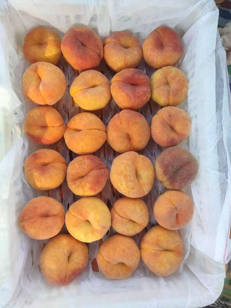 套袋毛蟠产地有货！多品种套袋毛蟠桃上市！