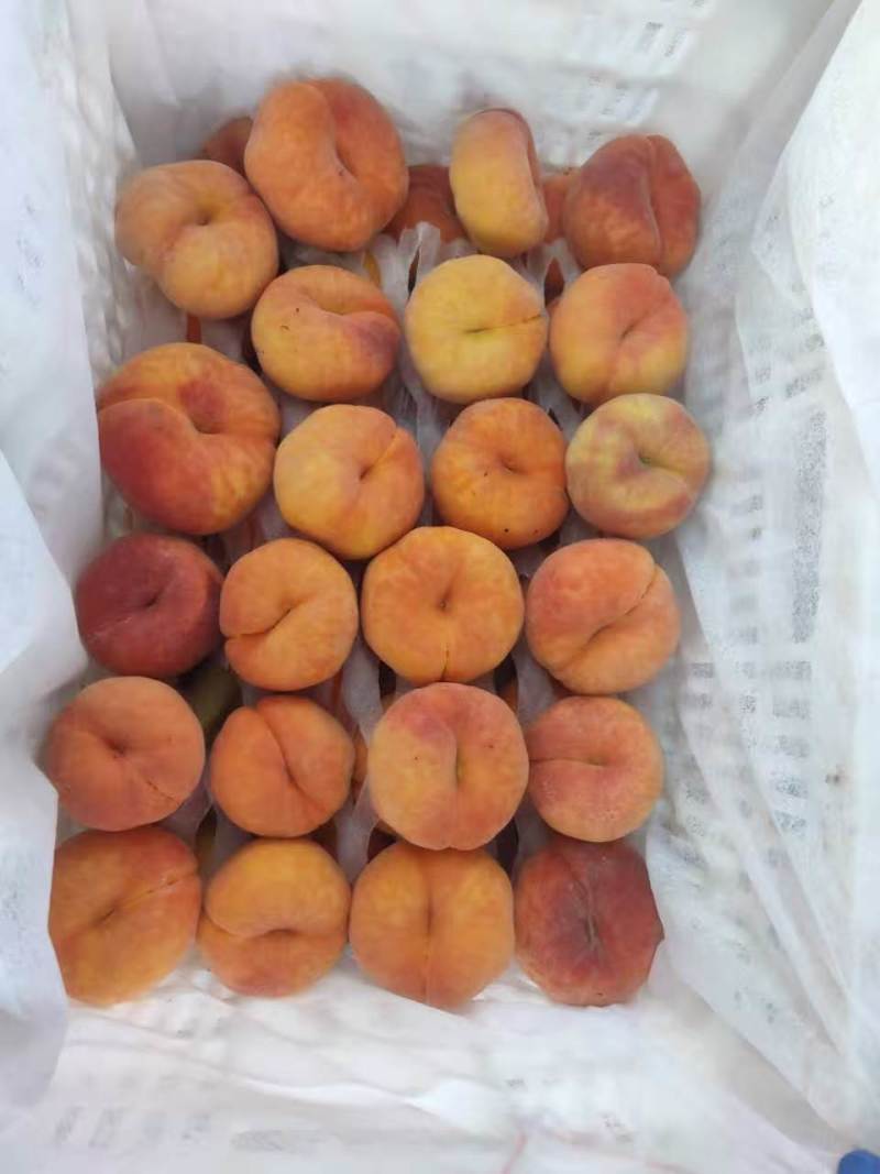 套袋毛蟠产地有货！多品种套袋毛蟠桃上市！