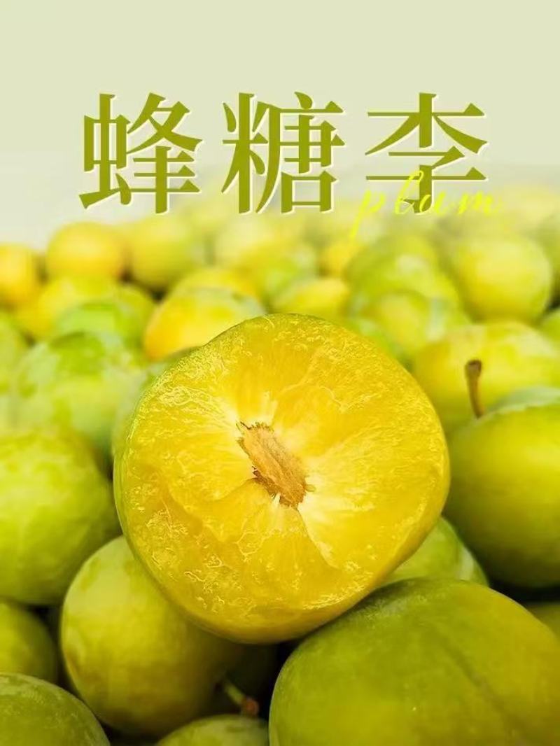 六马镇正宗蜂糖李高糖多汁皮薄肉厚产地直销现摘现发