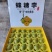 六马镇正宗蜂糖李高糖多汁皮薄肉厚产地直销现摘现发